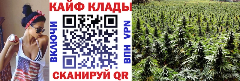 Купить наркотик Волгоград Марихуана  Cocaine  mega   Меф  Alpha-PVP 