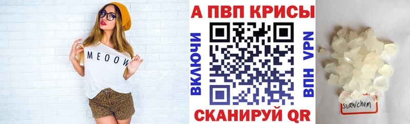 A PVP СК Волгоград
