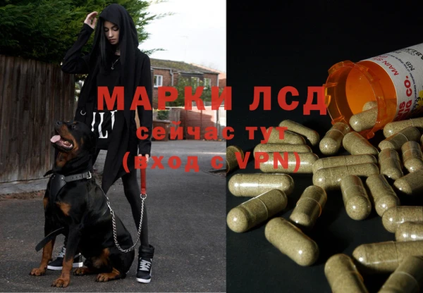 соль ск Наволоки