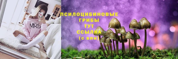 соль ск Наволоки