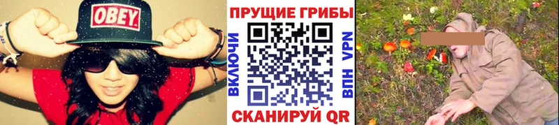 Псилоцибиновые грибы GOLDEN TEACHER  Волгоград 